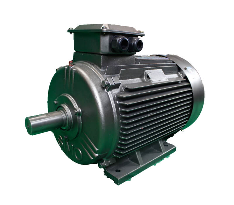 TYE4系列低壓高效永磁同步電機(jī)